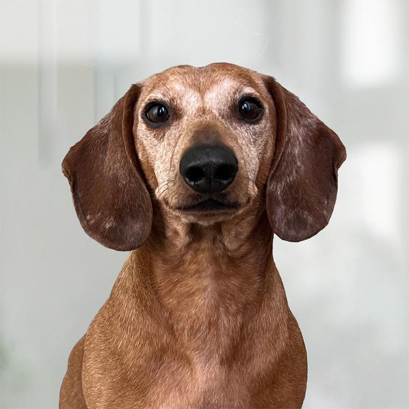 Mr Watson