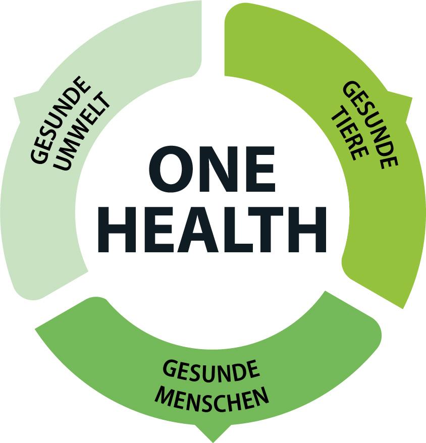 Kreisdiagramm One Health