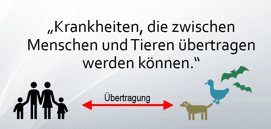 Die Grafik zeigt, dass Krankheiten wechselseitig zwischen Mensch und Tier übertragen werden können.