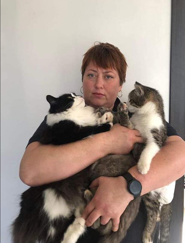 Katzen_in_Not_Copyright_Tierfreunde_Ukraine.jpeg