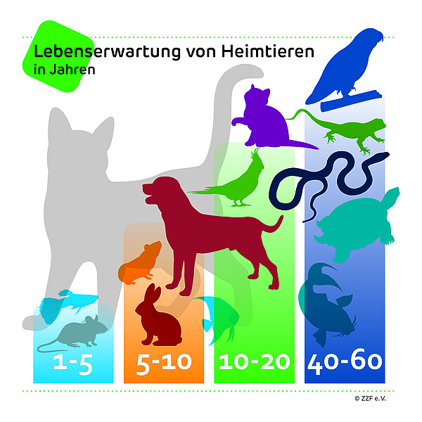 ZZF_Illu_Lebensalter_der_Heimtiere.jpg