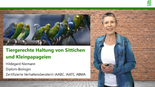 Screenshot_Onlinekurs_Sittiche_und_Kleinpapageien_2021.png