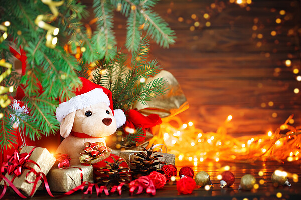 Weihnachten_c_WZF_iStock_Anna_Usova.jpg