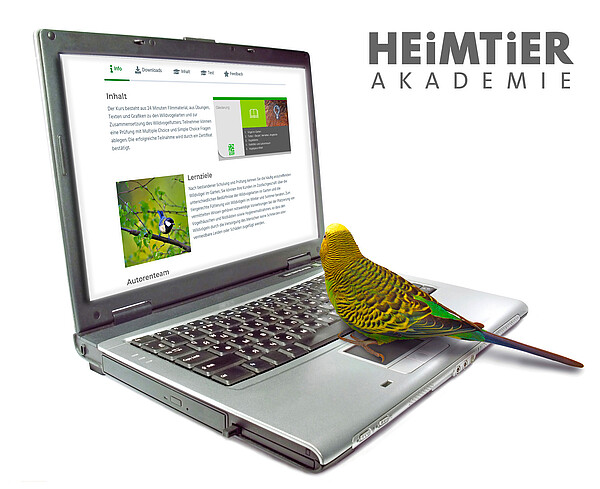 ZZF_Heimtier_Akademie.jpg