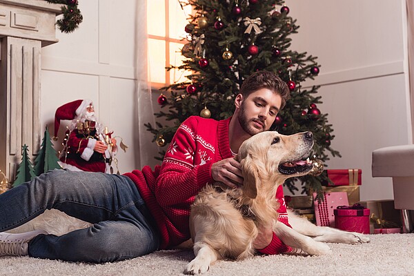 Weihnachten_Hund_panthermedia.jpg