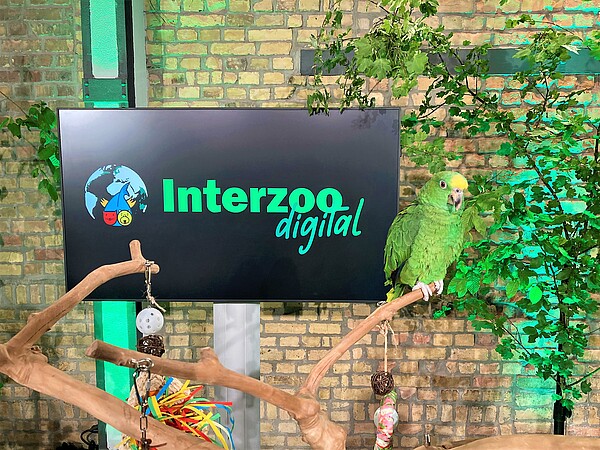 Interzoo-digital-Abschluss_hires.jpg